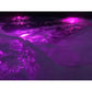 Coral - Free Delivery & Free Installation Included - EDS Tranquillity Collection